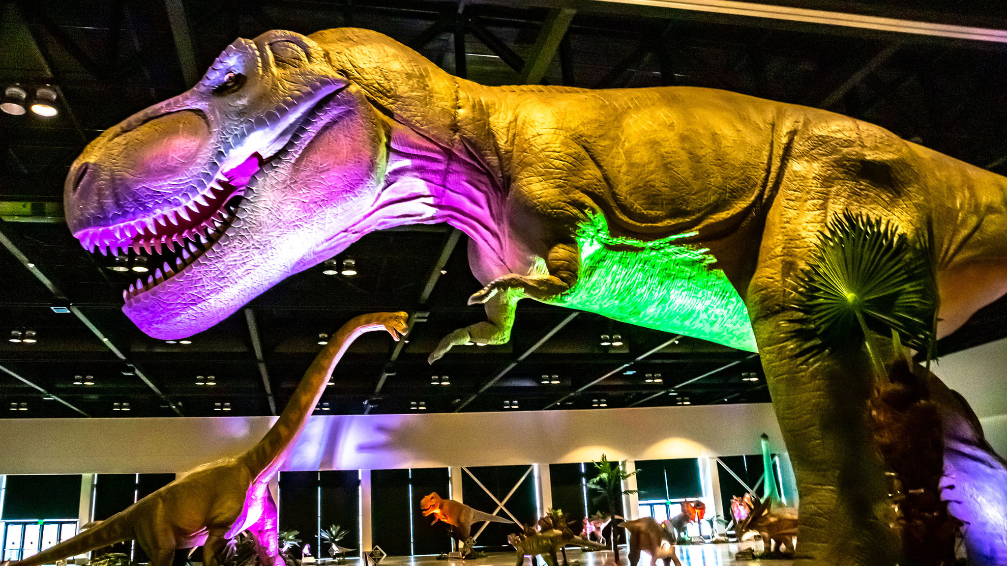 big tickets dino stroll