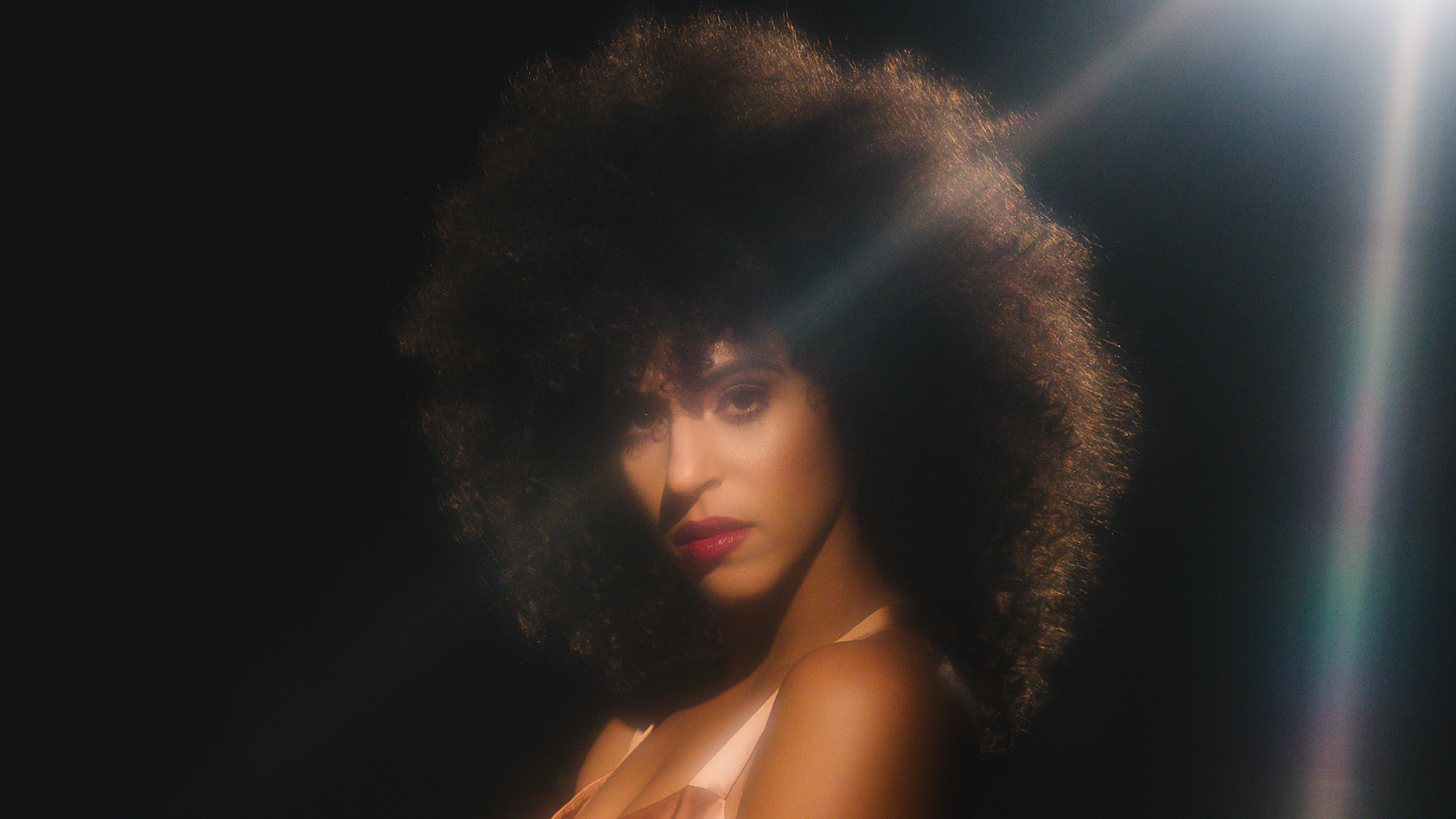 Gavin Turek