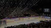 Silver Ferns