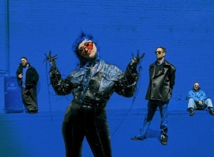 Hiatus Kaiyote