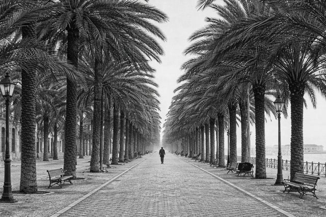 Presales to revolver: members use these when buying pre-sale tickets