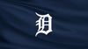 Detroit Tigers vs. Minnesota Twins