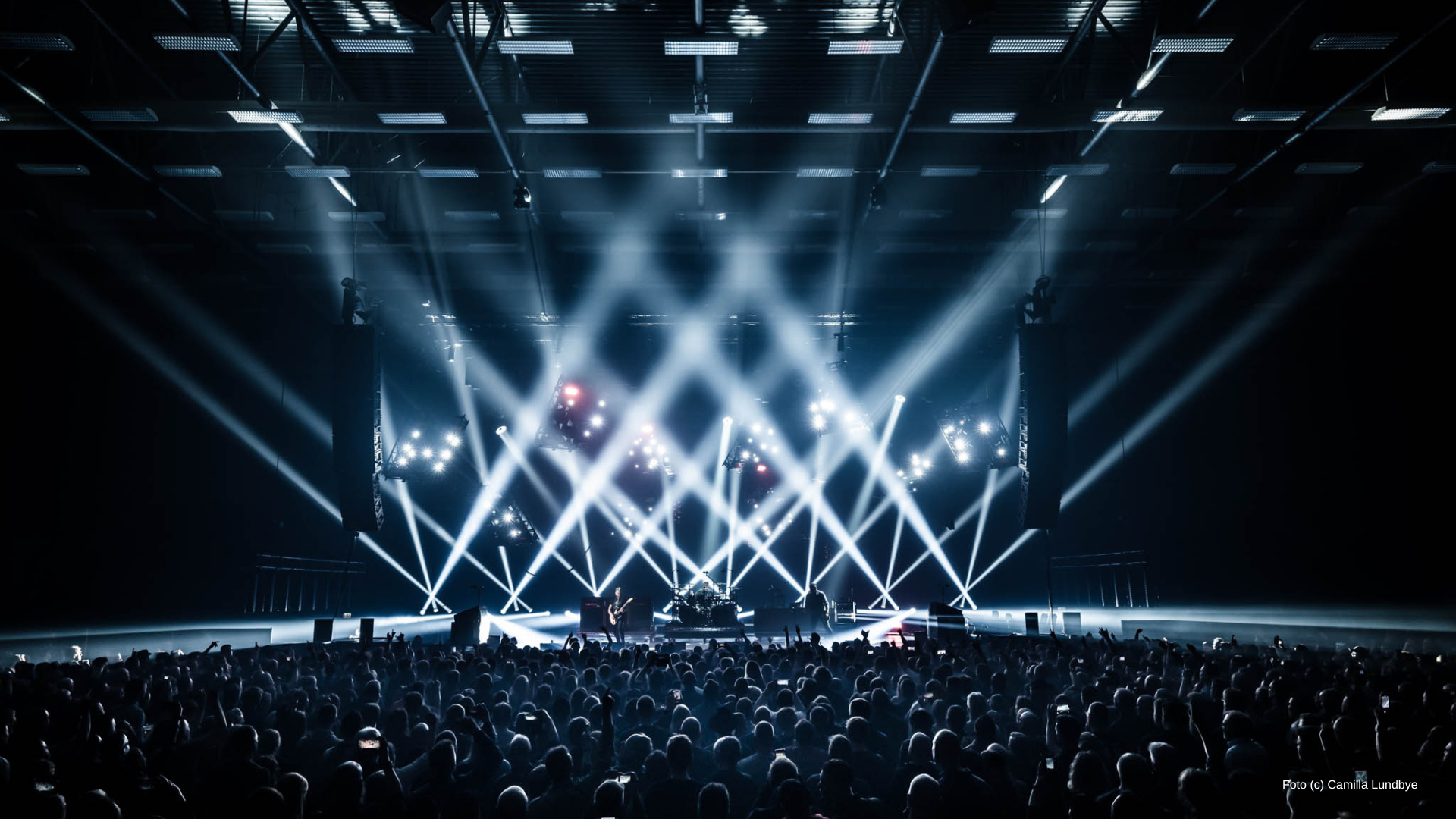 live photos