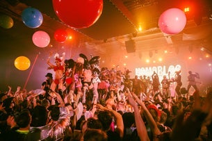 live photos