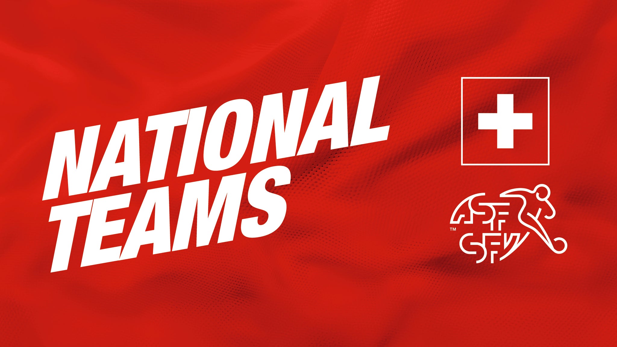 Schweizerischer Fussballverband