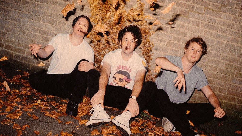 The Wombats