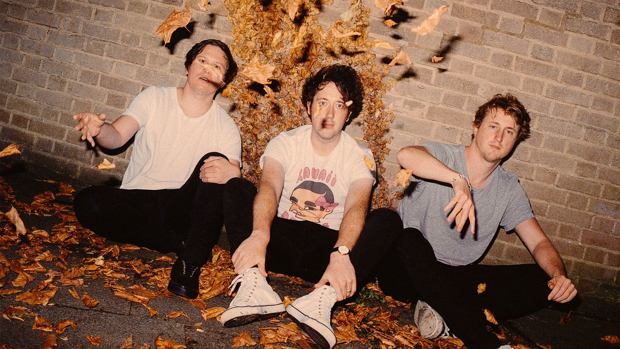 The Wombats