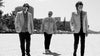 The Mountain Goats