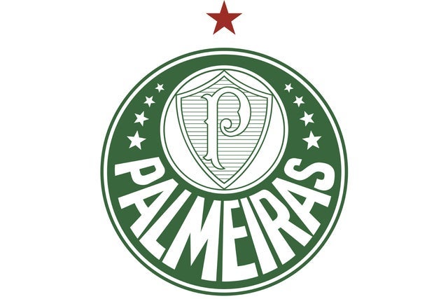 SE Palmeiras hero