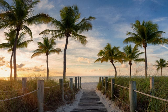 Presales to 5 o'clock somewhere fest: weekend 2 day admission: members use these when buying pre-sale tickets