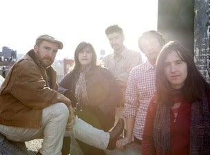 The Magnetic Fields