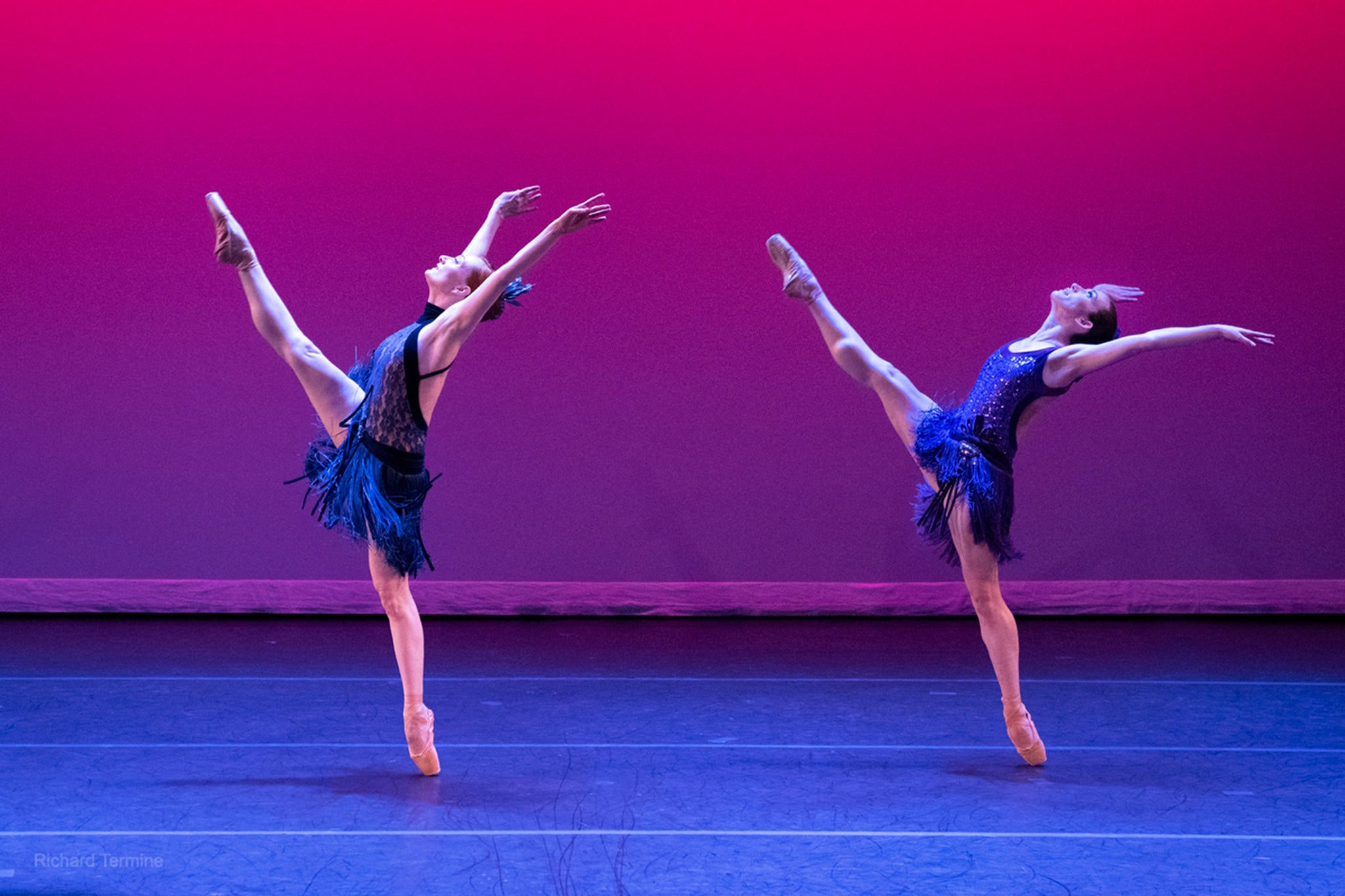 New York Theatre Ballet: Firebird