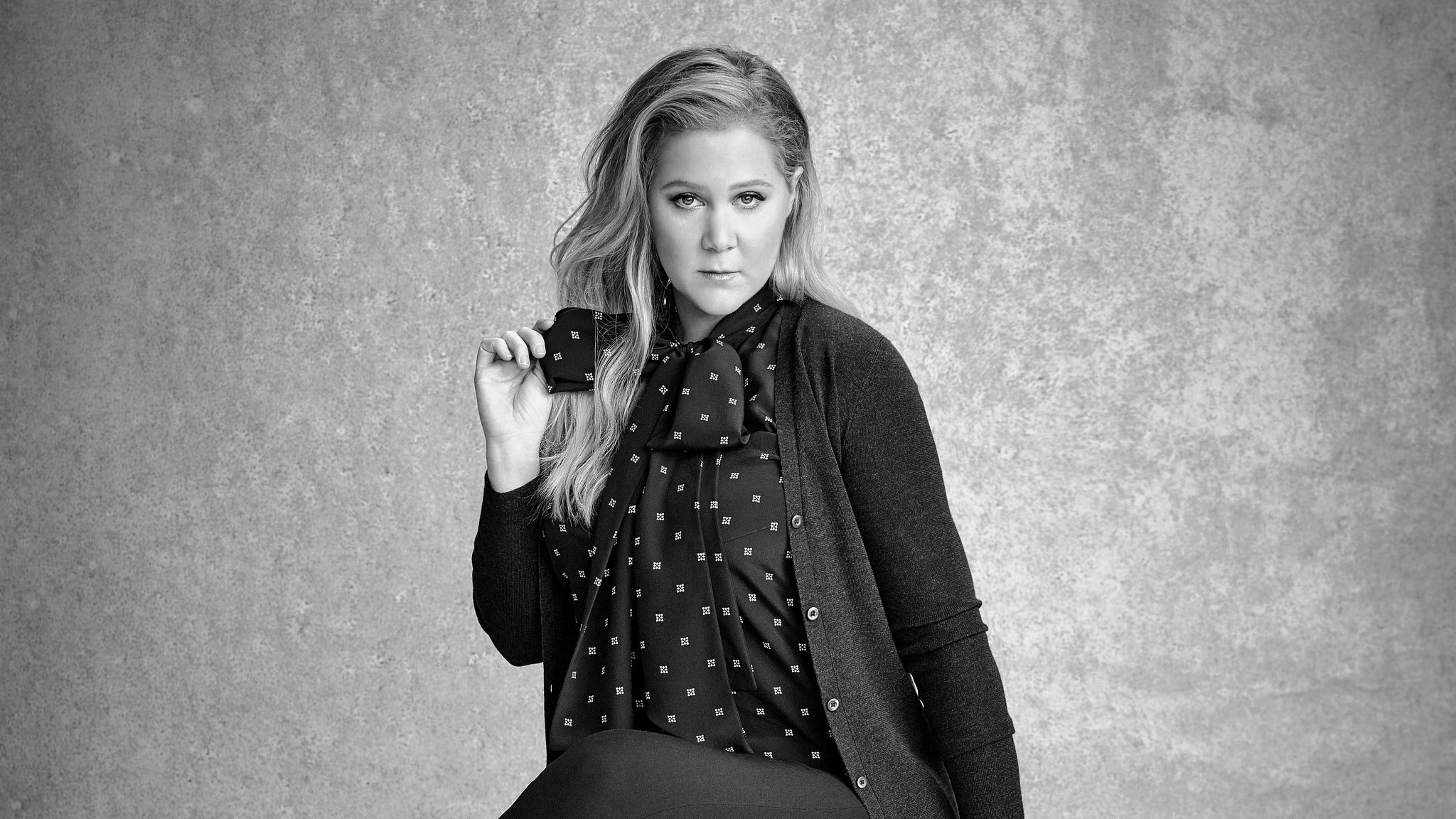 Netflix Is A Joke at The Palladium Hosted by Amy Schumer in Hollywood promo photo for "This Presale Is A Joke" presale offer code