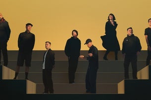 The Herd - 20 Years Of The Sun Never Sets