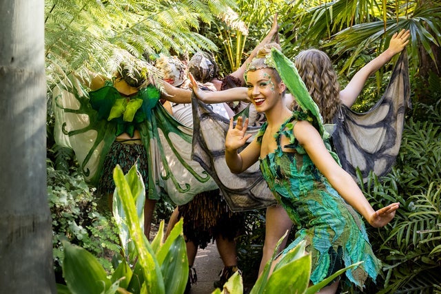 Tinkerbell and the Dream Fairies presales in Sydney
