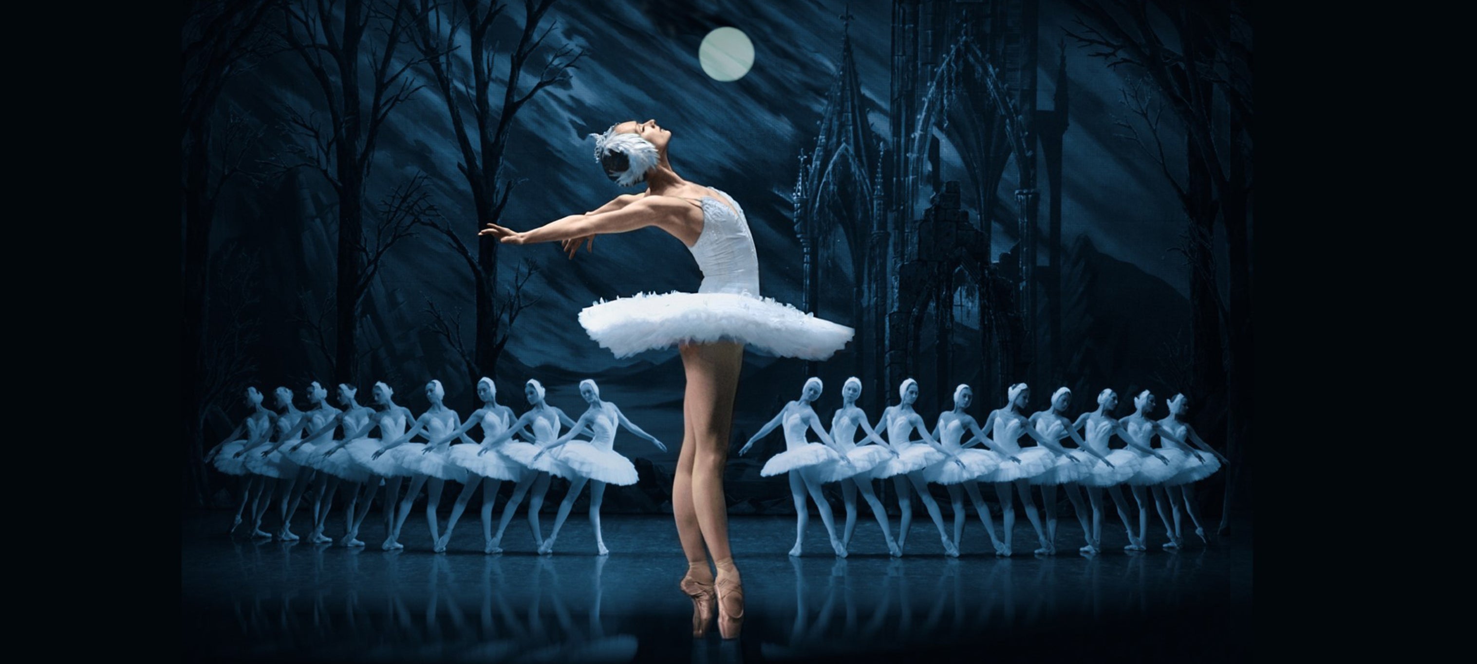 Svansjön med The Heritage Ballet