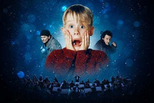 Home Alone in Concert 3Arena Seating Plan