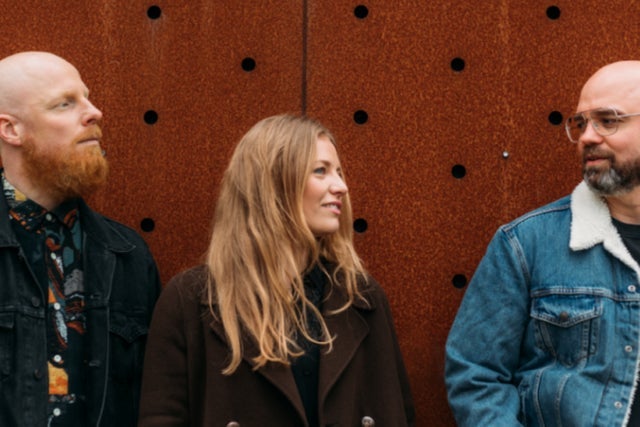 Presale codes for tinlicker: members use these when buying pre-sale tickets