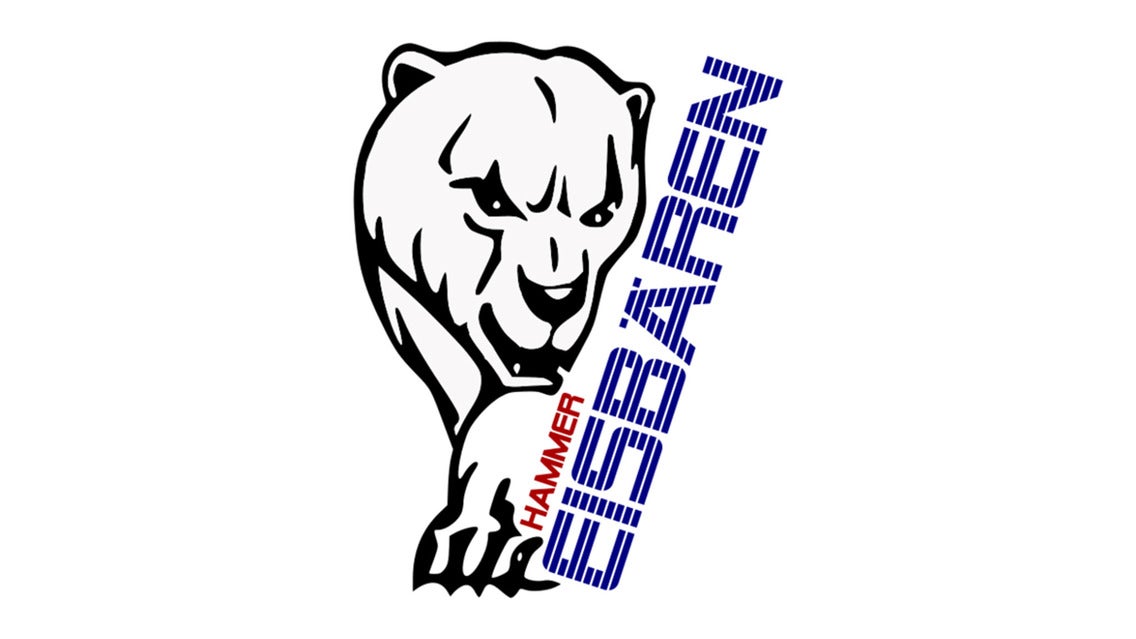 Hammer Eisbären vs. KSW Icefighter Leipzig I Hauptrunde