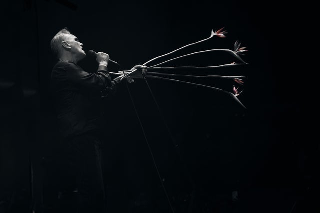Presale codes for morrissey: members use these when buying pre-sale tickets