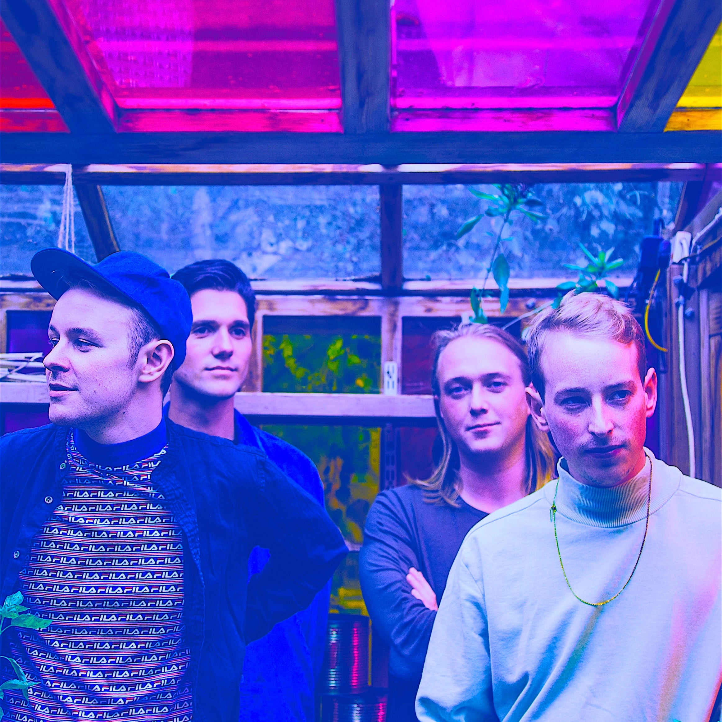 Low Island - bird UK & EU Tour