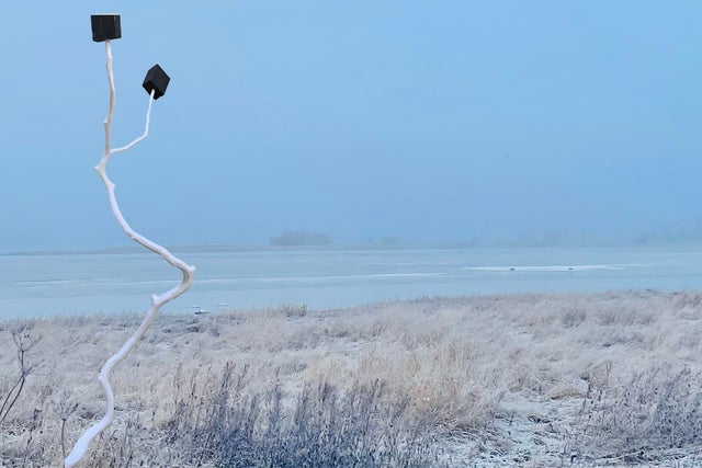 2G-Festivaali presale information on freepresalepasswords.com