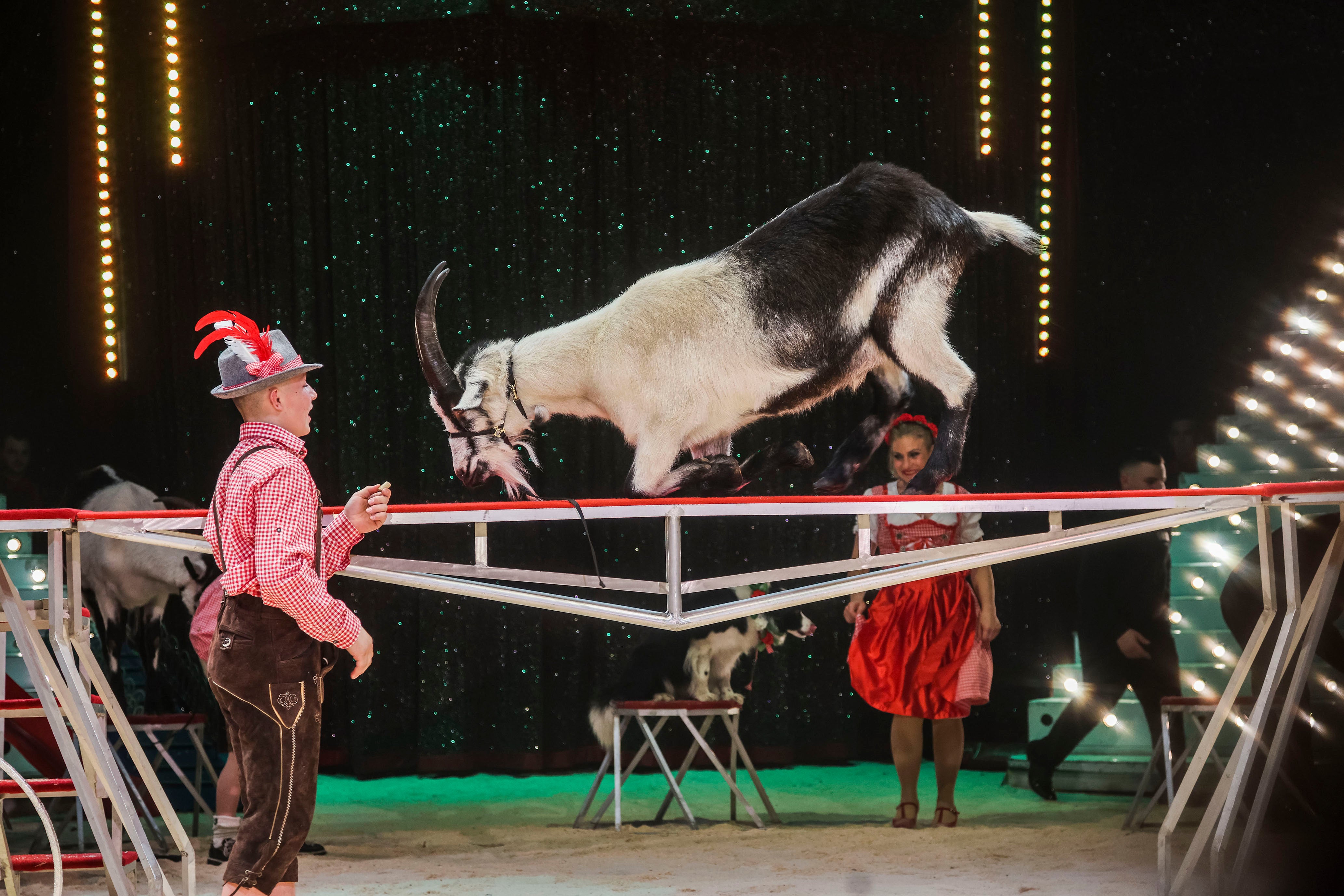 Trierer Weihnachtscircus - ein Fest für die ganze Familie!