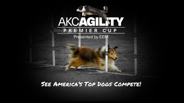 AKC Agility Premier Cup - 2022 Tour Dates & Concert Schedule - Live Nation