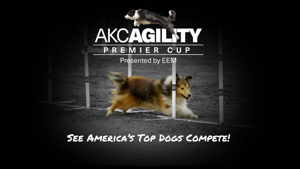 AKC Agility Premier Cup live