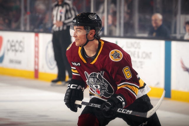 Chicago Wolves hero