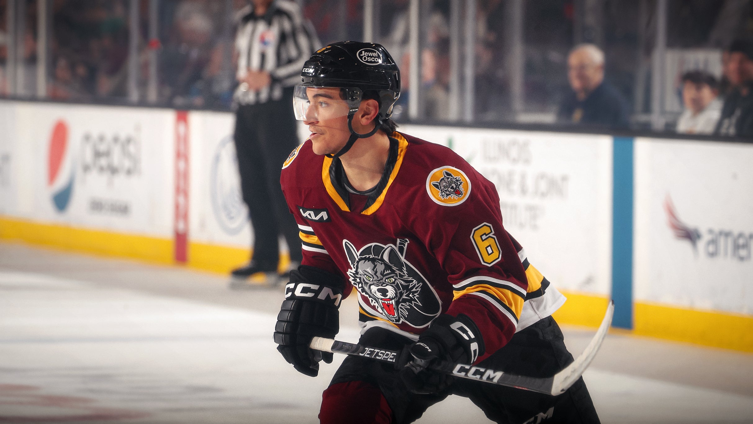 Chicago Wolves vs. Grand Rapids Griffins at Allstate Arena – Rosemont, IL