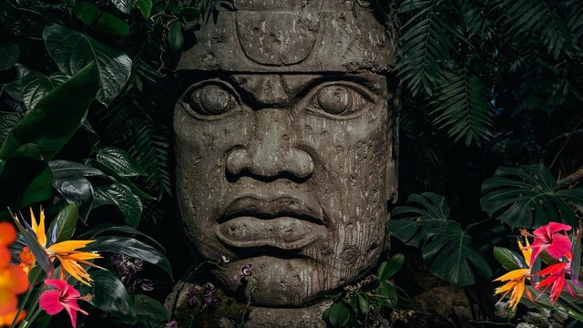 Tulum Vibes tickets and events in Czechia 2024