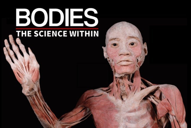 Bodies - The Science Within