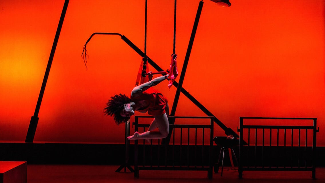 The Panto Company Presents: The Jungle Book