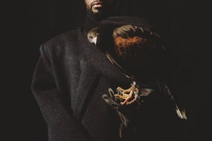 Fally Ipupa