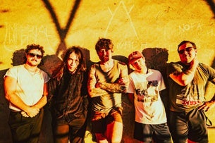 Osees