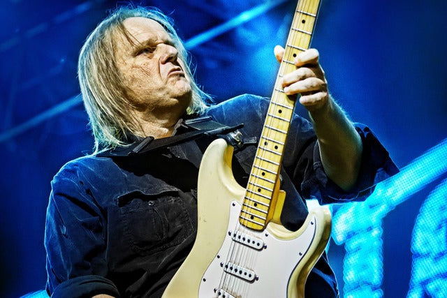 Walter Trout