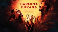 Carmina Burana - Szeged Contemporary Dance Company