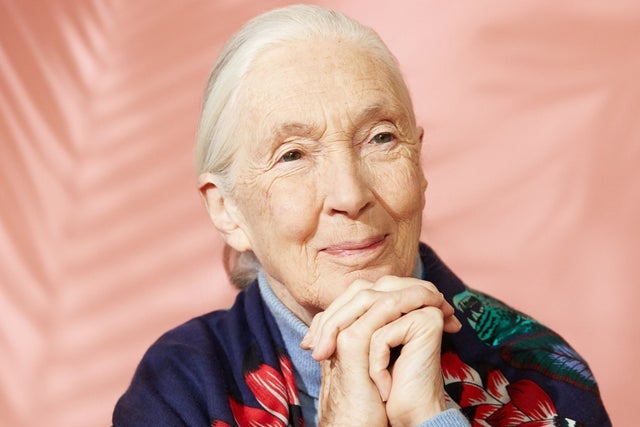 An Evening With Dr. Jane Goodall - "Celebrating At 90"