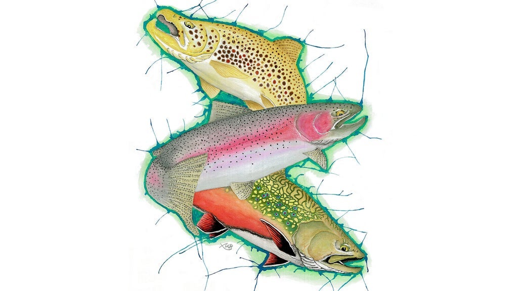 Photo of Fly Fishing Film Festival