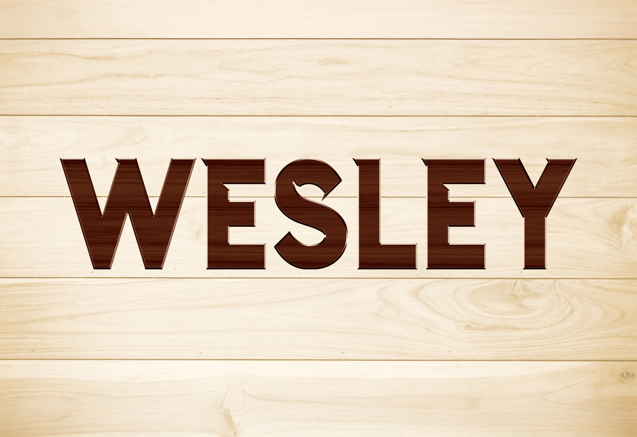Wesley the Owl (NY)