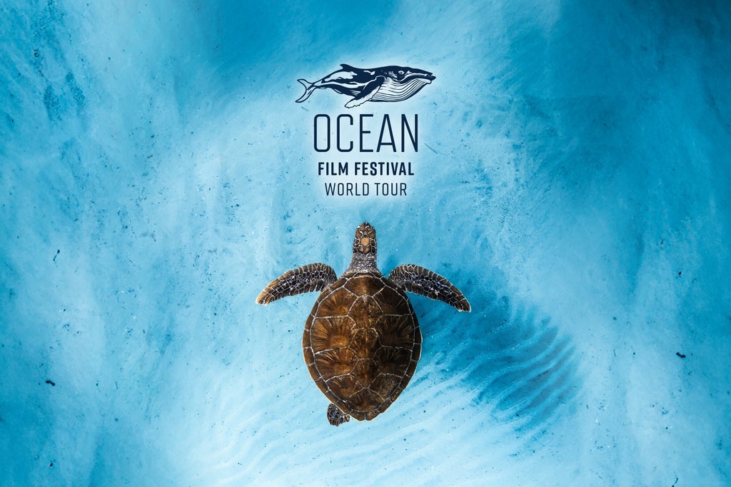 Ocean Film Festival World Tour 2026