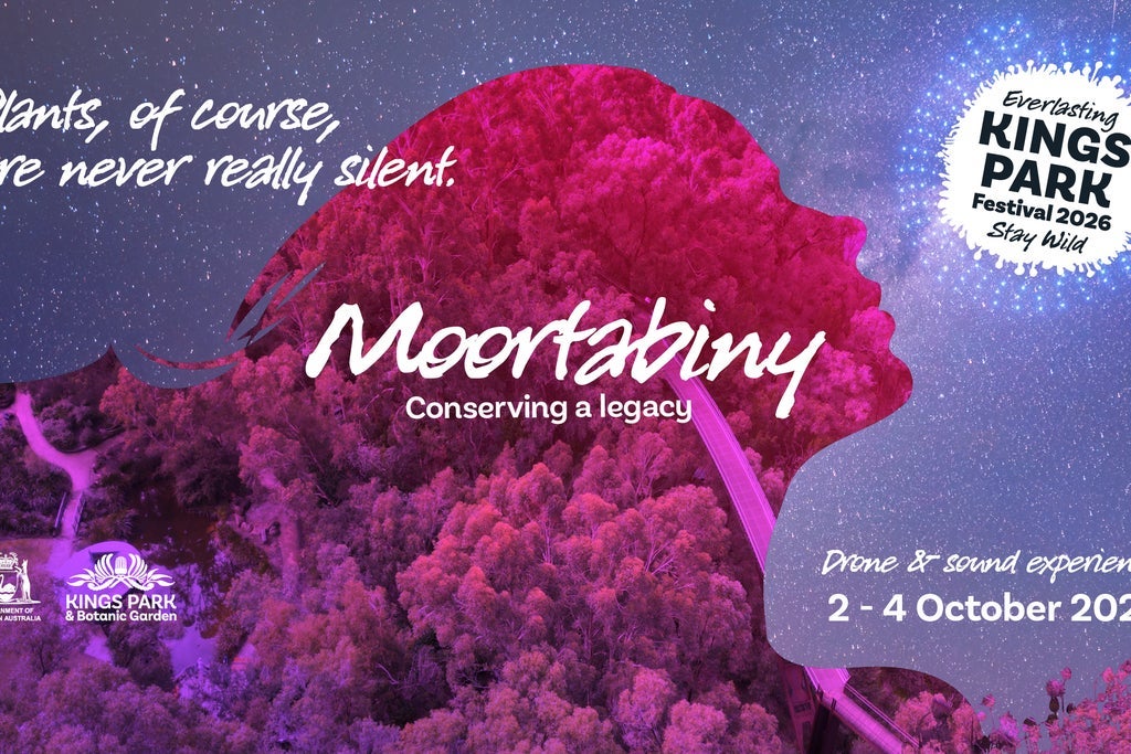 Moortabiny
