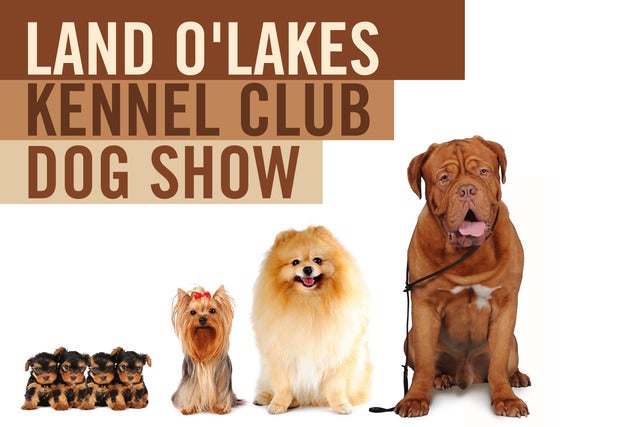 Land O' Lakes Kennel Club Dog Show