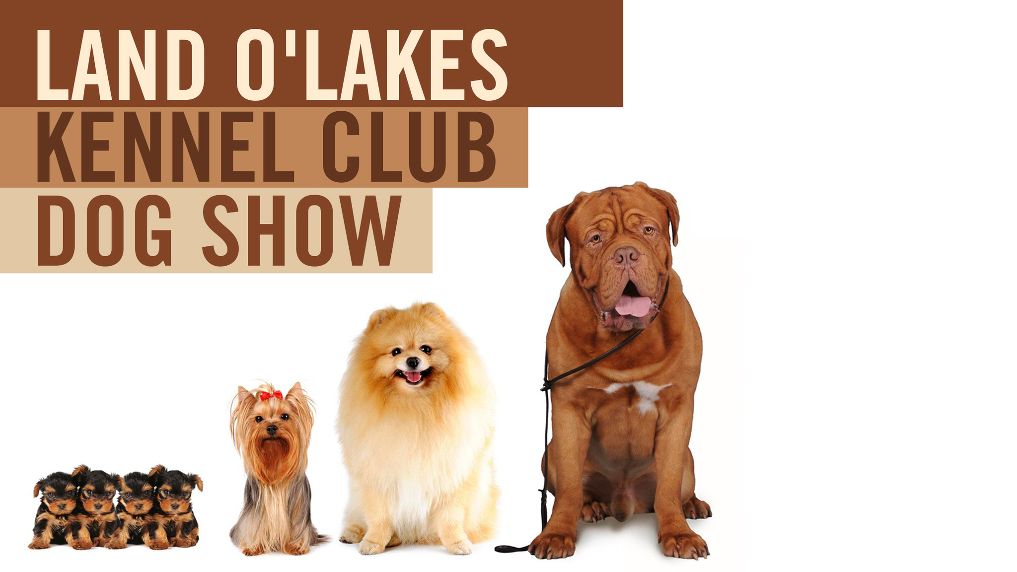 Land O' Lakes Kennel Club Dog Show Billets Dates d'événements et