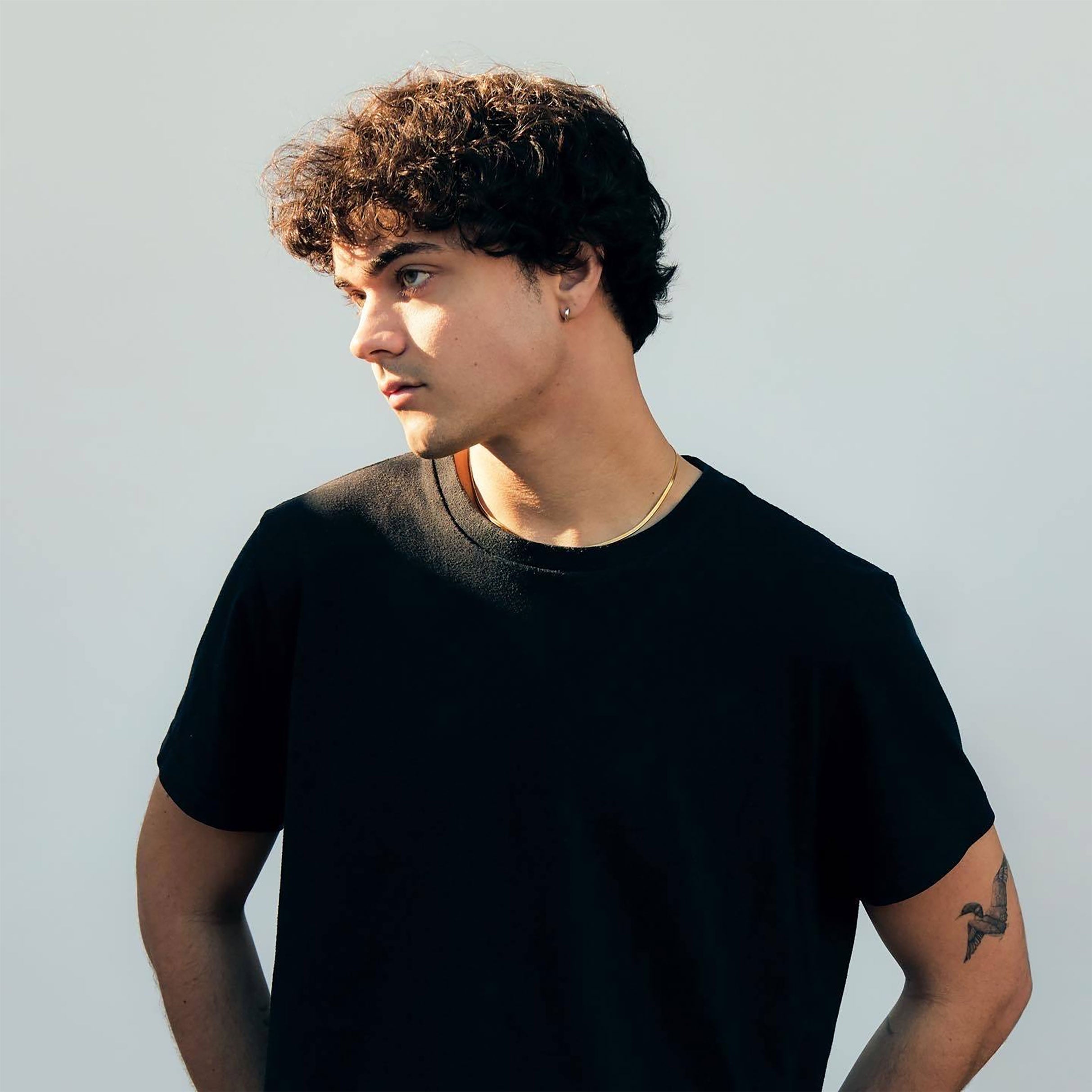 Presale codes for alexander stewart: members use these when buying pre-sale tickets
