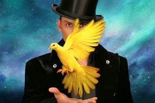 Allstars of Magic
