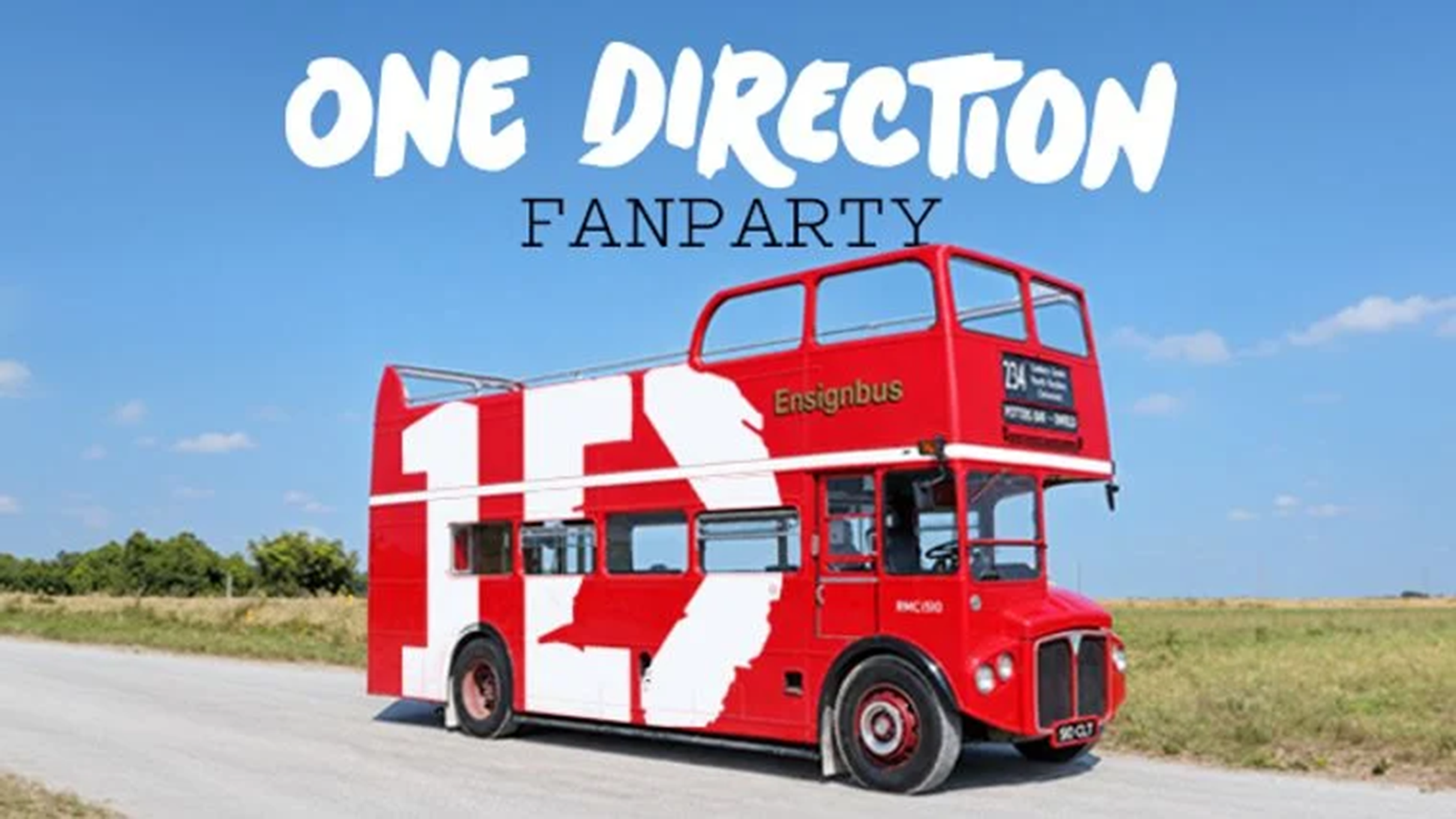 One Direction Fanparty