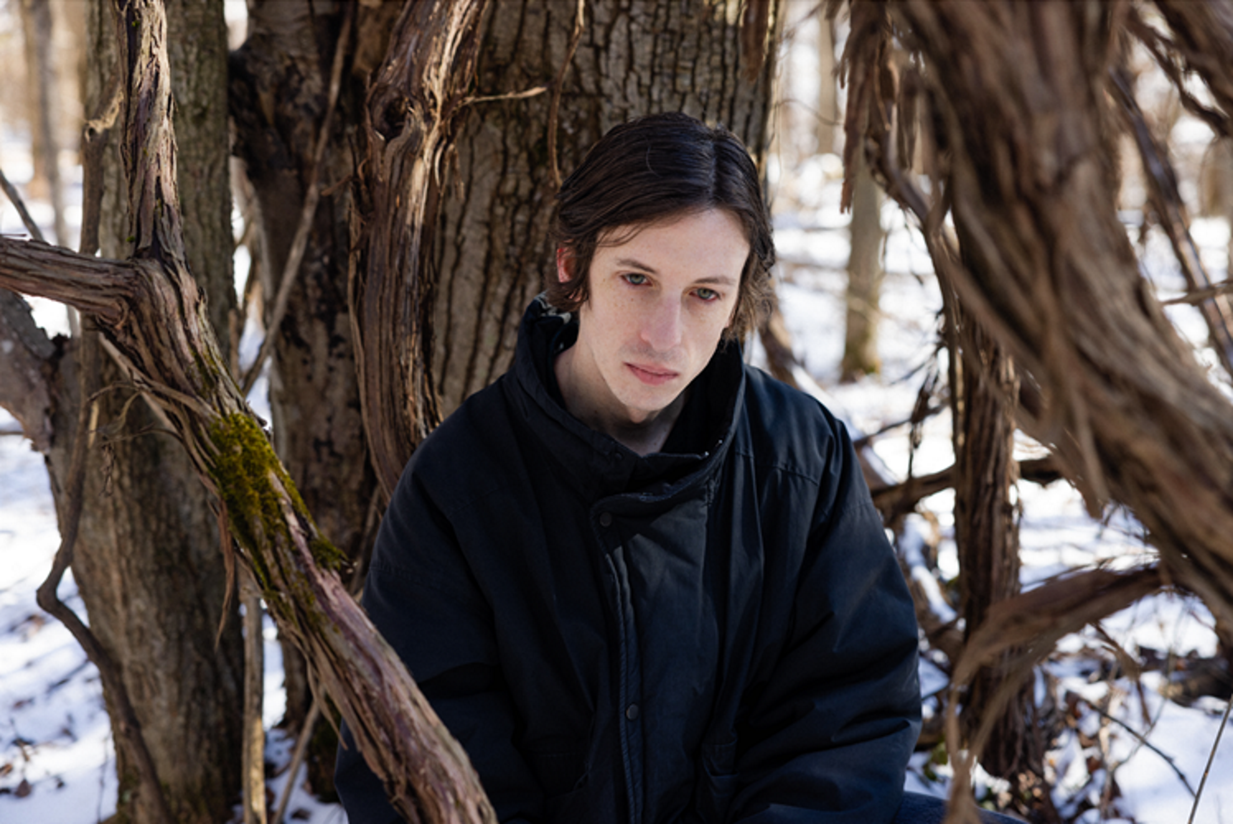 Wicca Phase Springs Eternal & The Mystery Mountain Band, and Golden Apples
