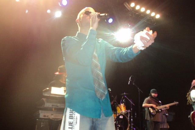 Collie Buddz